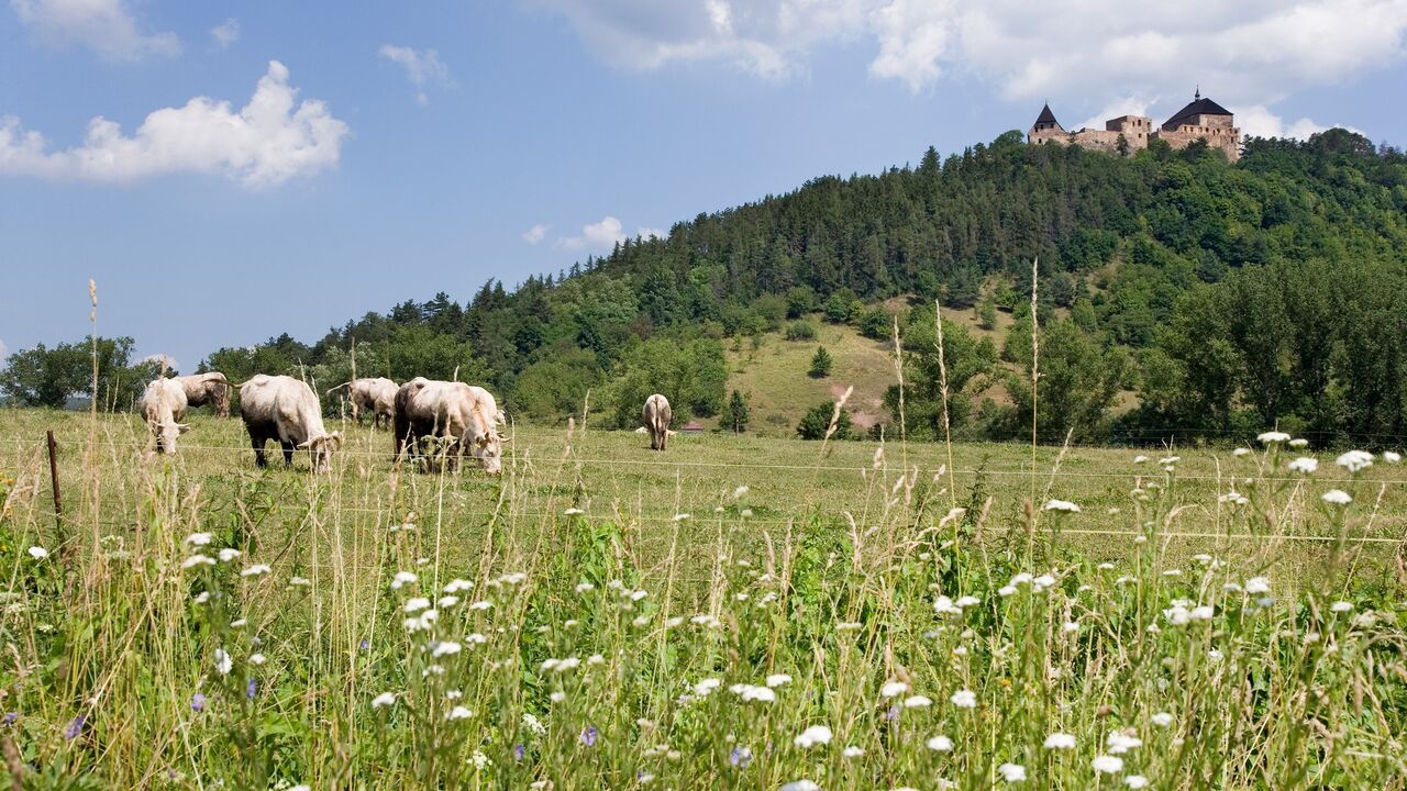 Stočarstvo