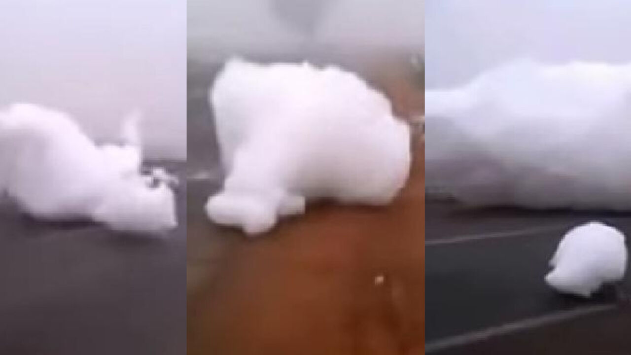 Pena na ulicama