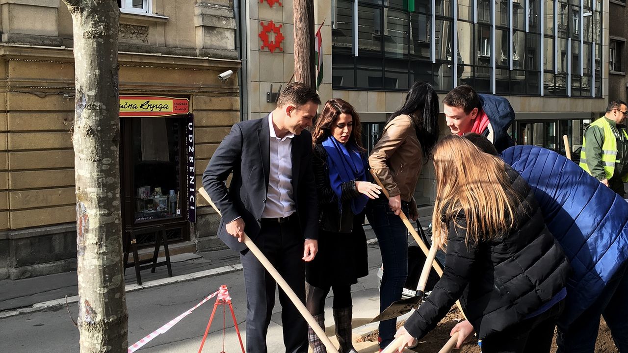 sadnja drveća