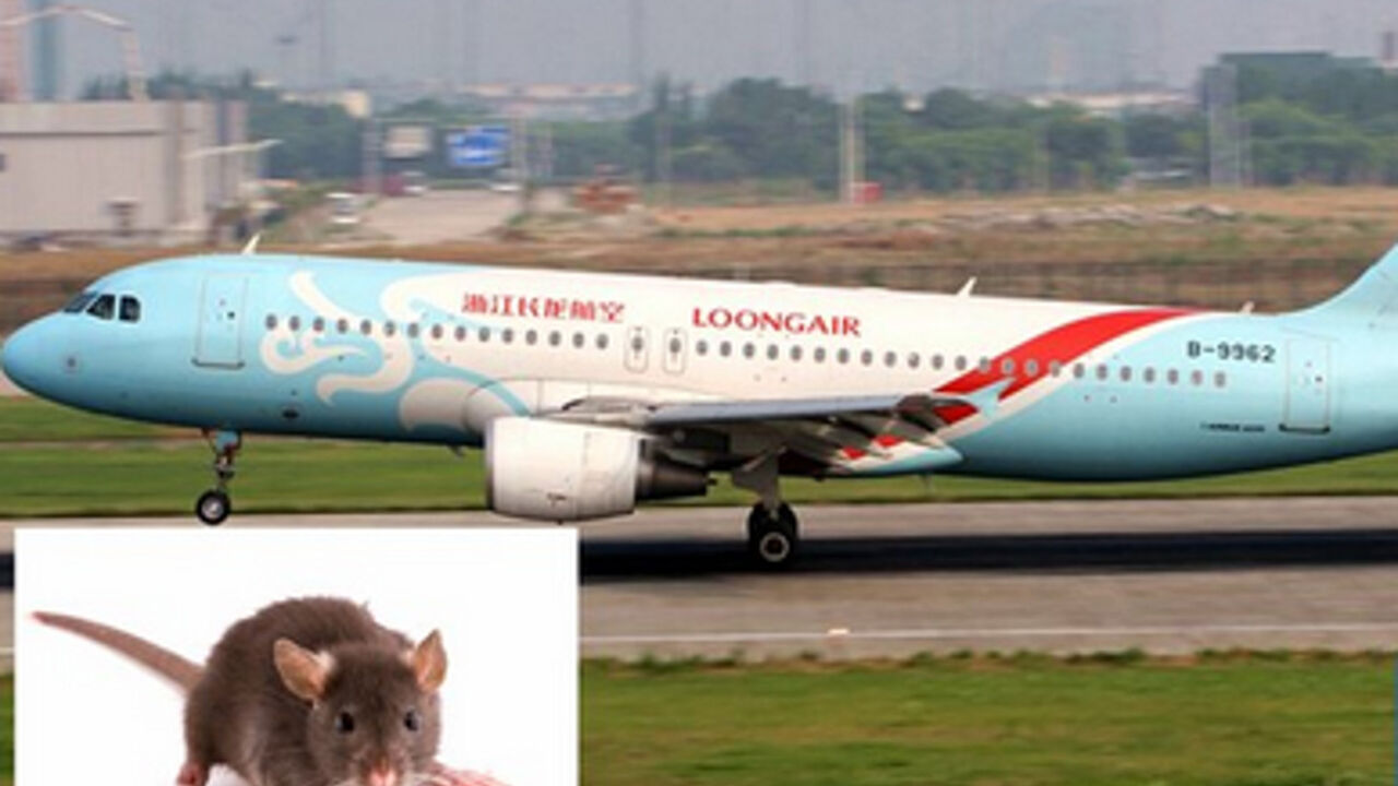 avion