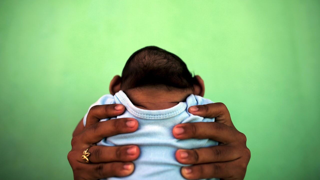 zika virus