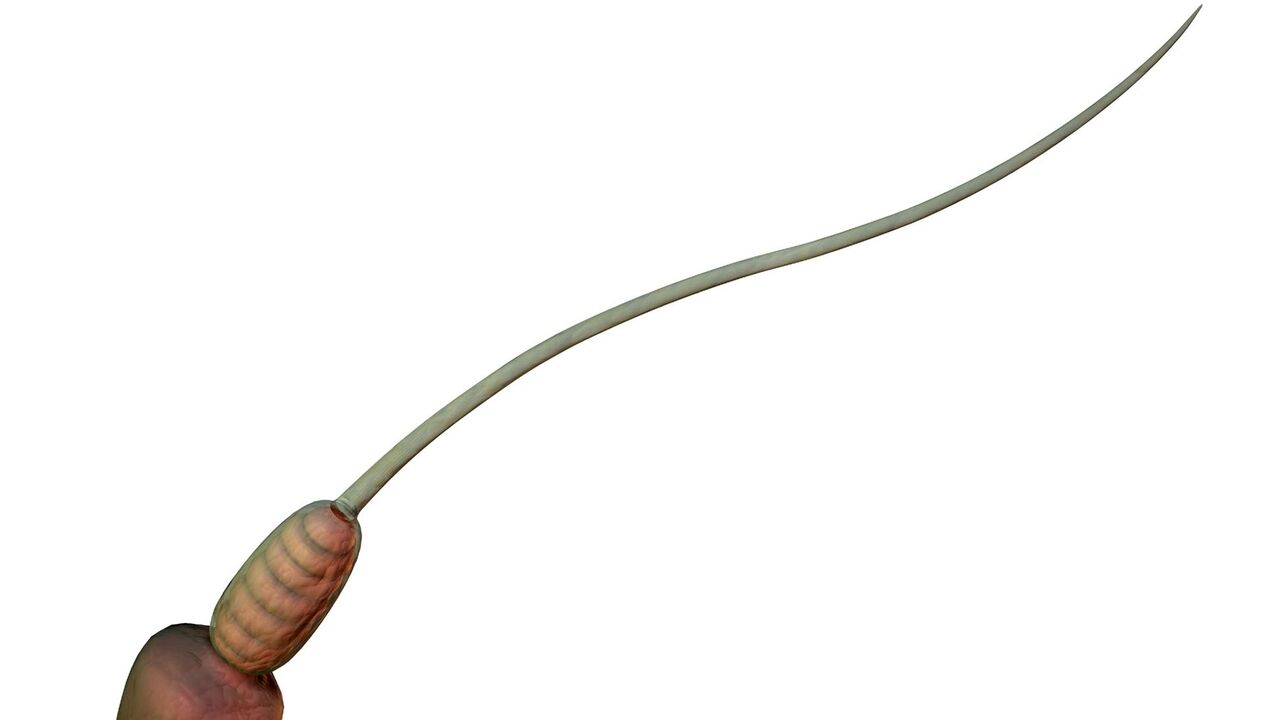 sperma