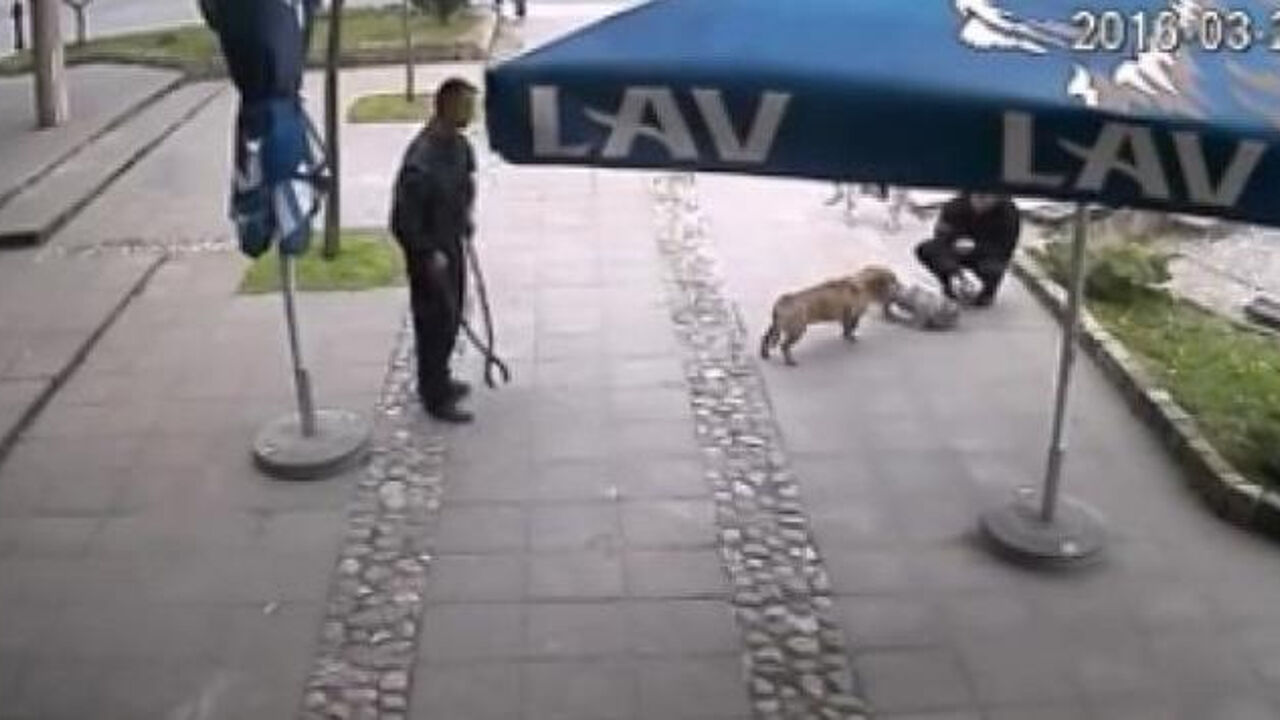 Komunalna policija i psi