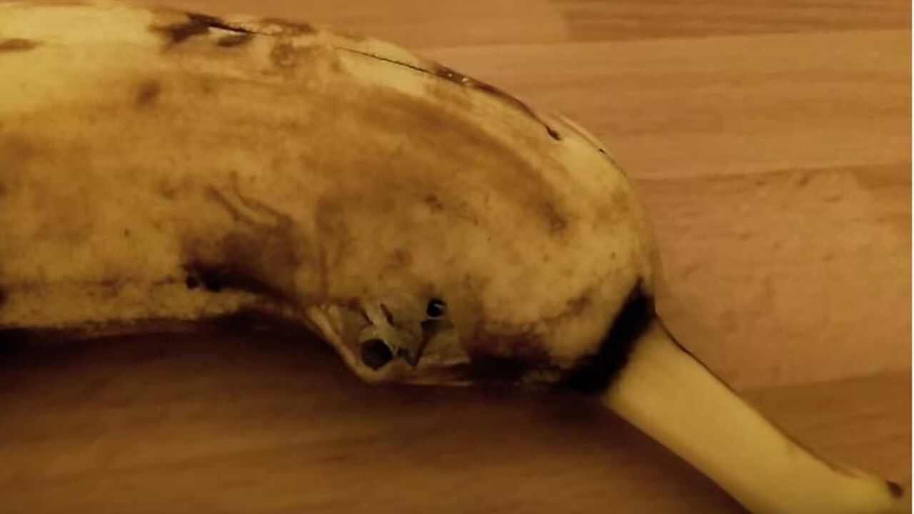 Banana