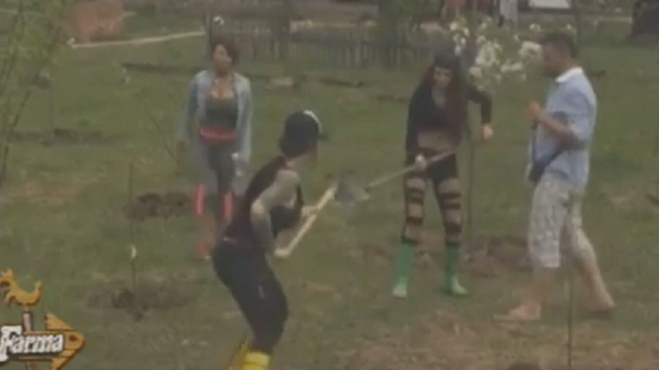 Farmeri