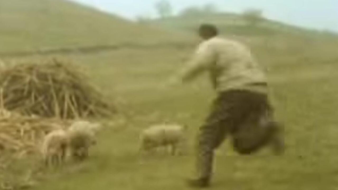 Scena iz filma "Ko to tamo peva"