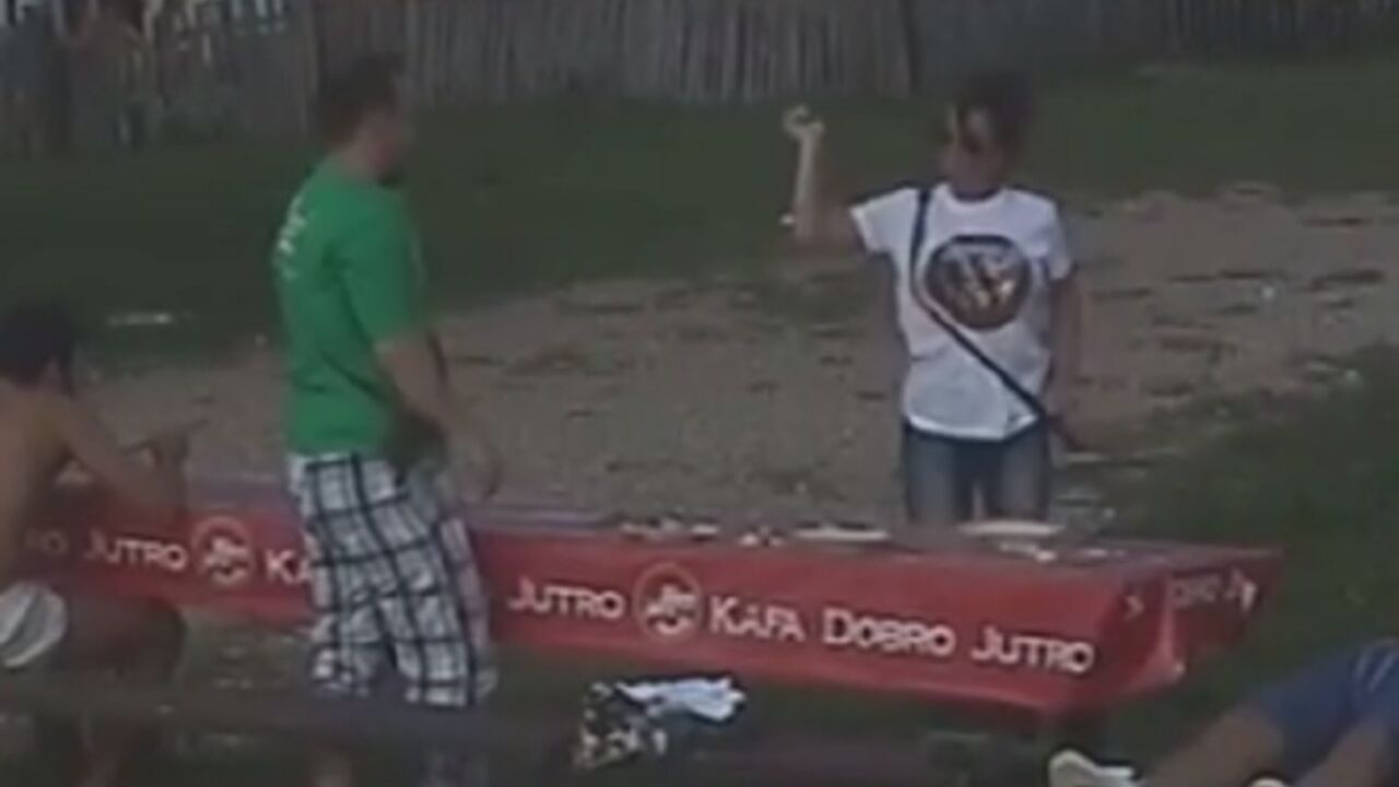 Goga i Nemanja