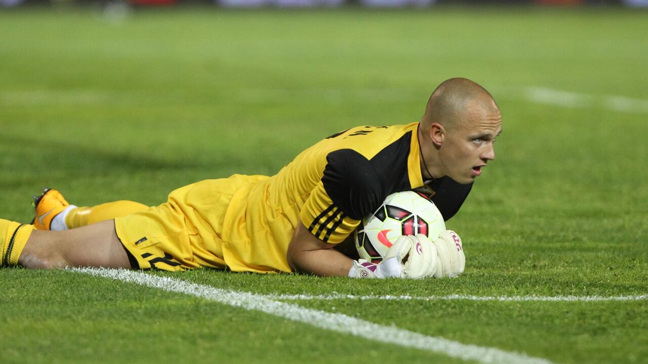 Nemanja Stevanović, FK Čukarički