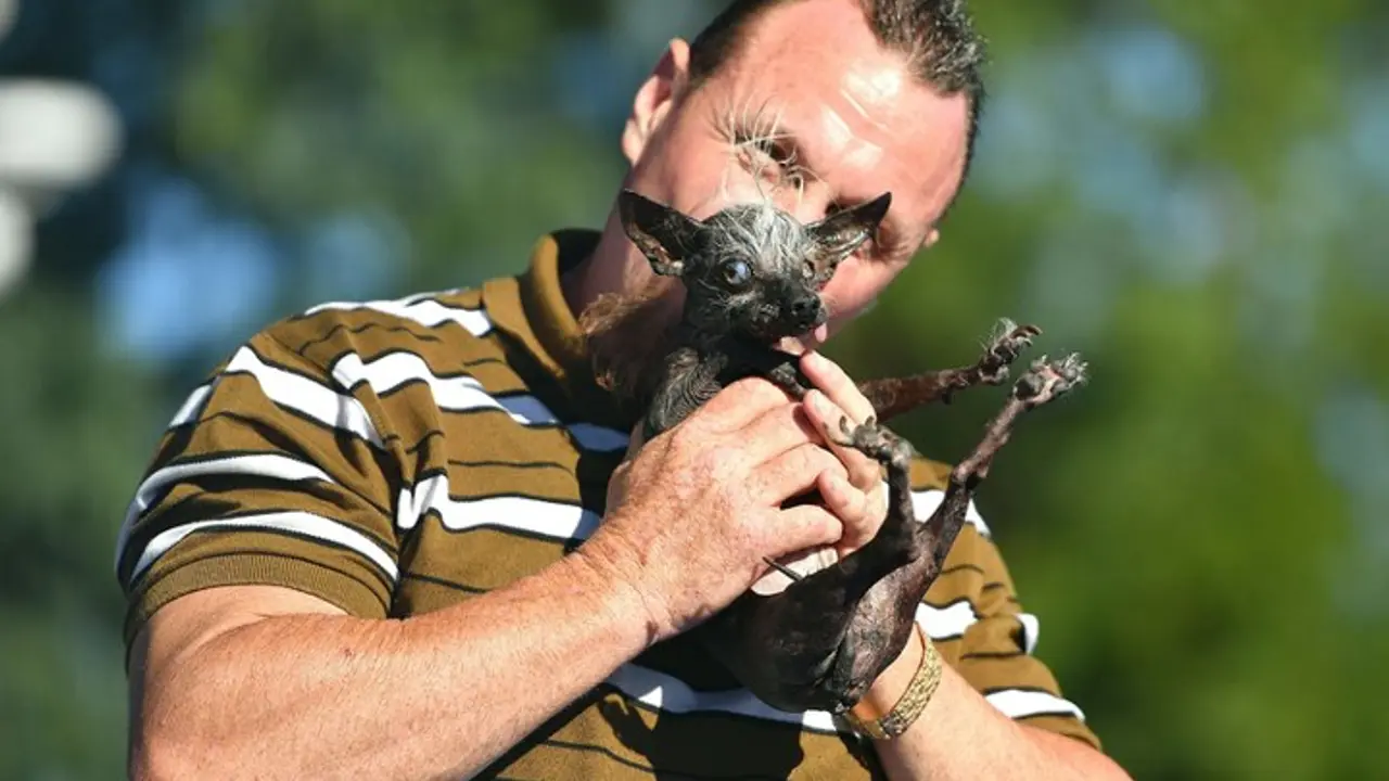 Svipi Rambo