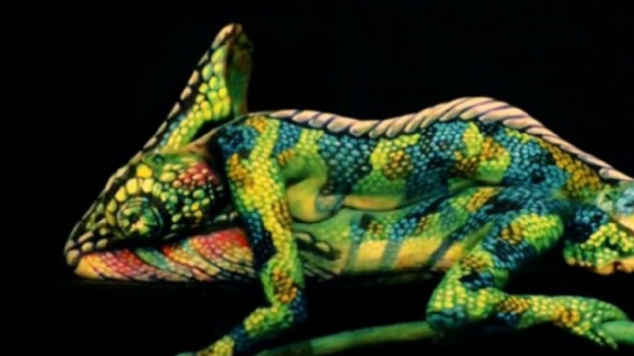 kameleon