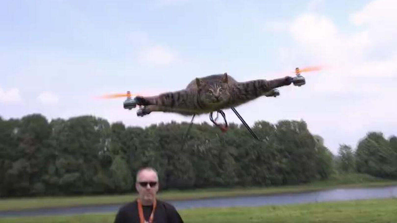 dron-mačka