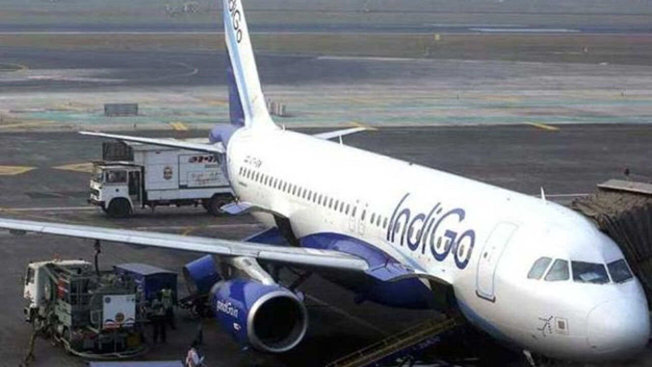 avion