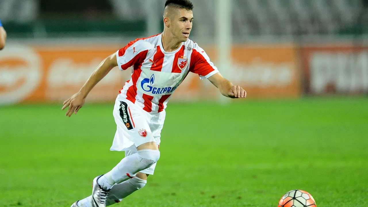 Srđan Plavšić