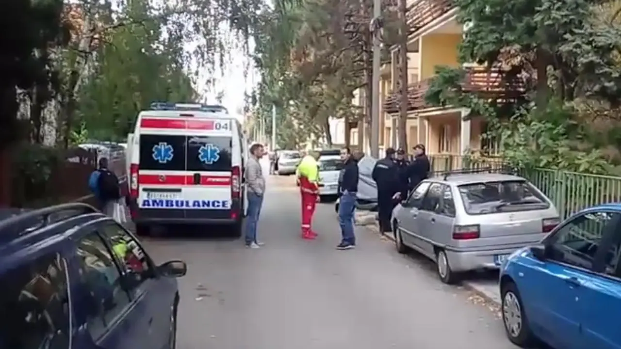 Ubistvo na Voždovcu