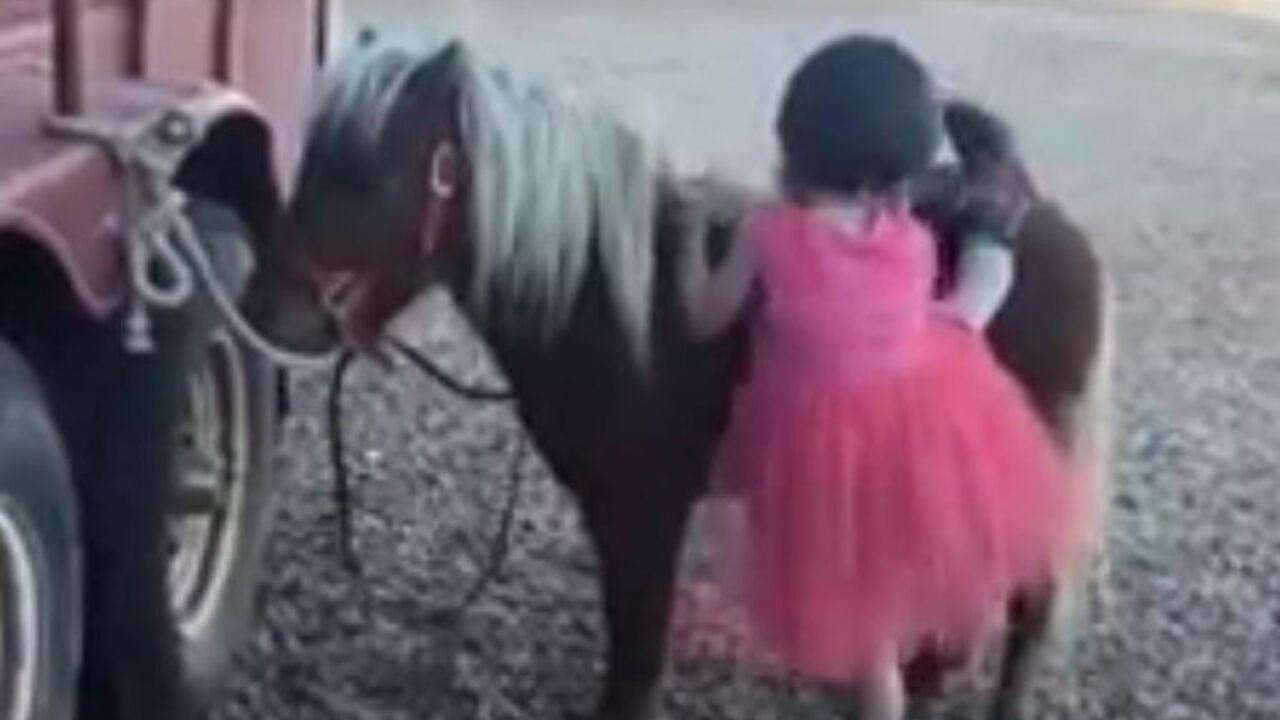 devojčica i poni