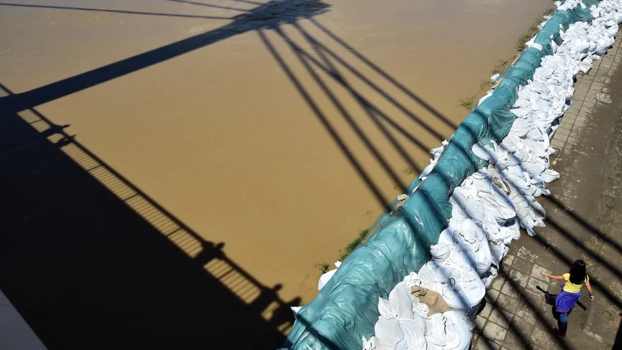 sava, poplava