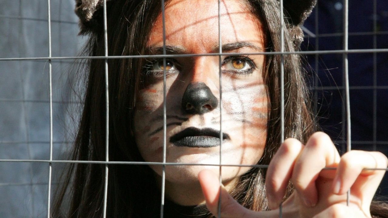 Protest za prava životinja u Napulju