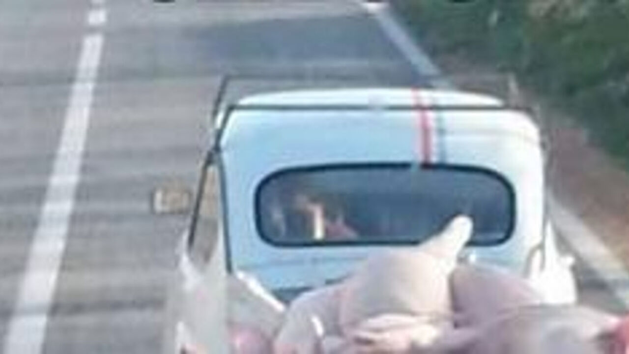 Fića
