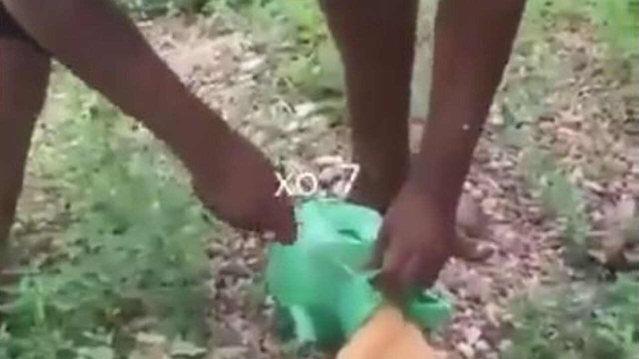 Pas