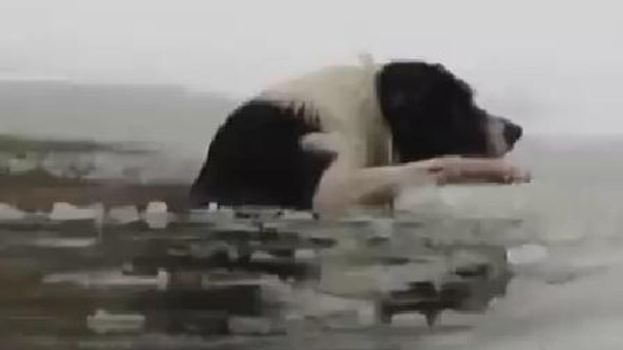 pas