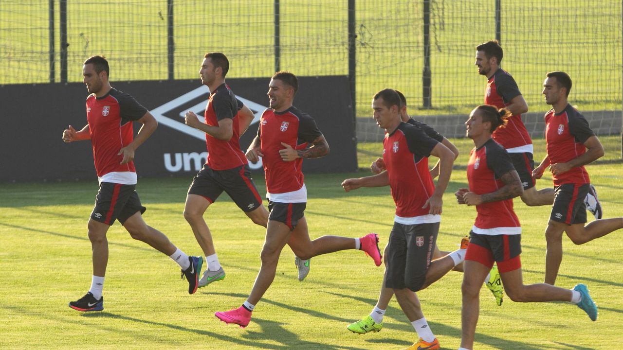 Fudbalska reprezentacija Srbije, Radosav Petrović