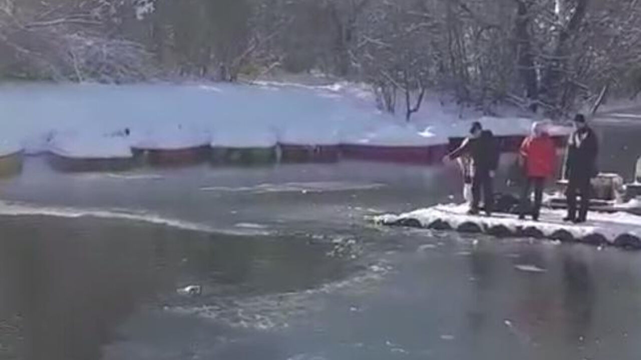 Rus spašava psa