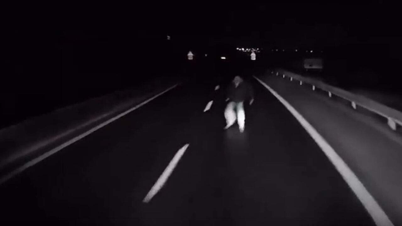 Pešak