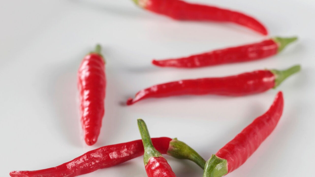 Paprika