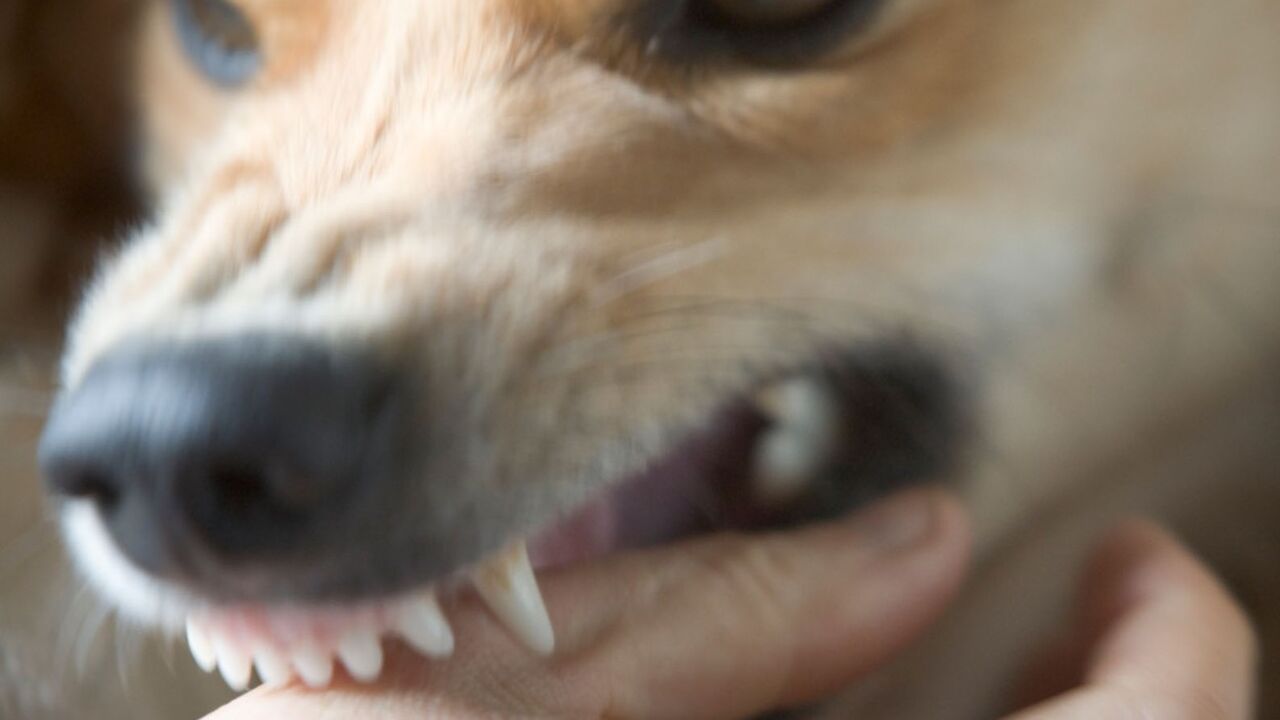 pas