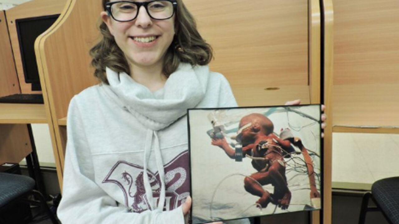 Zoi Koz