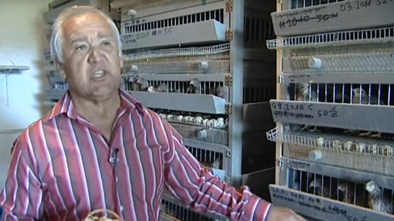Uzgajivač jaja od prepelice