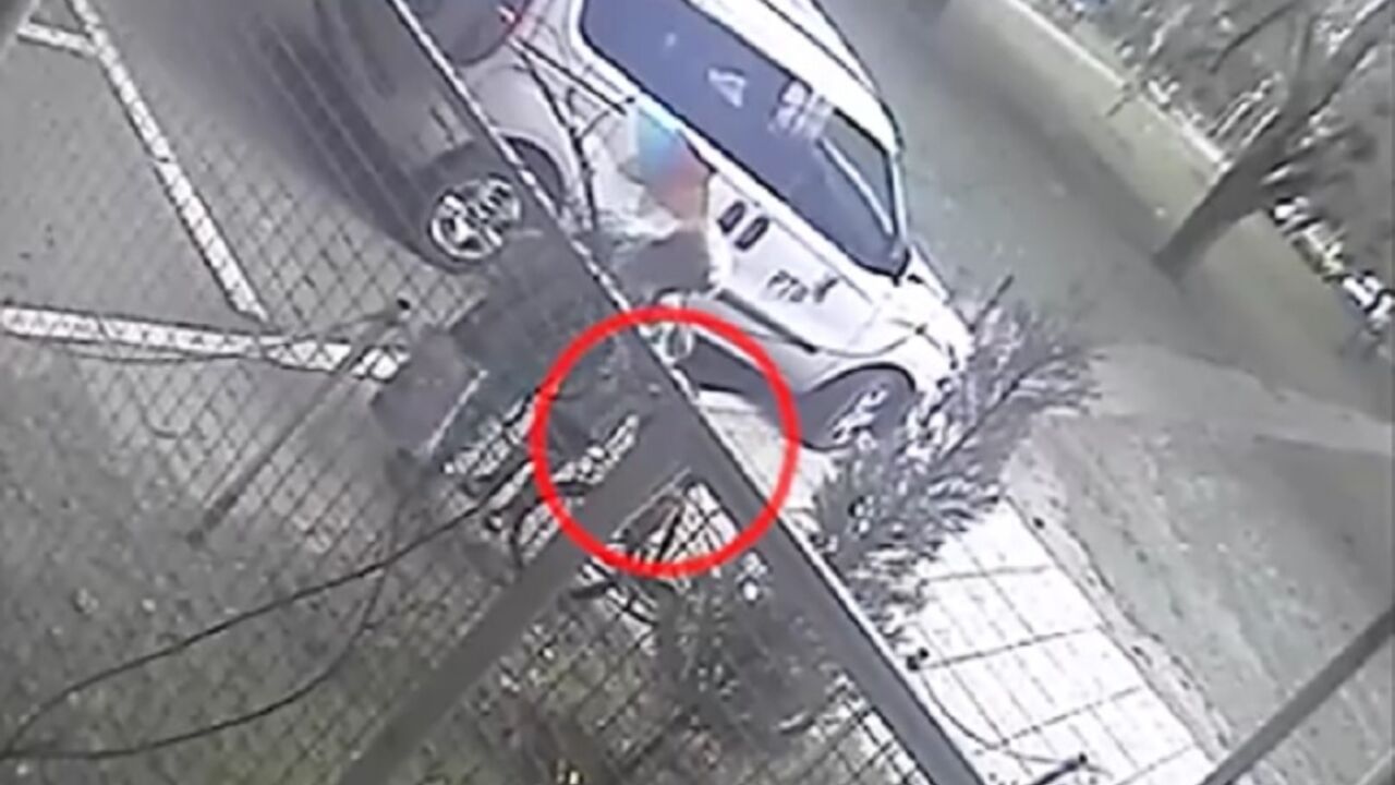 krađa u Novom Sadu