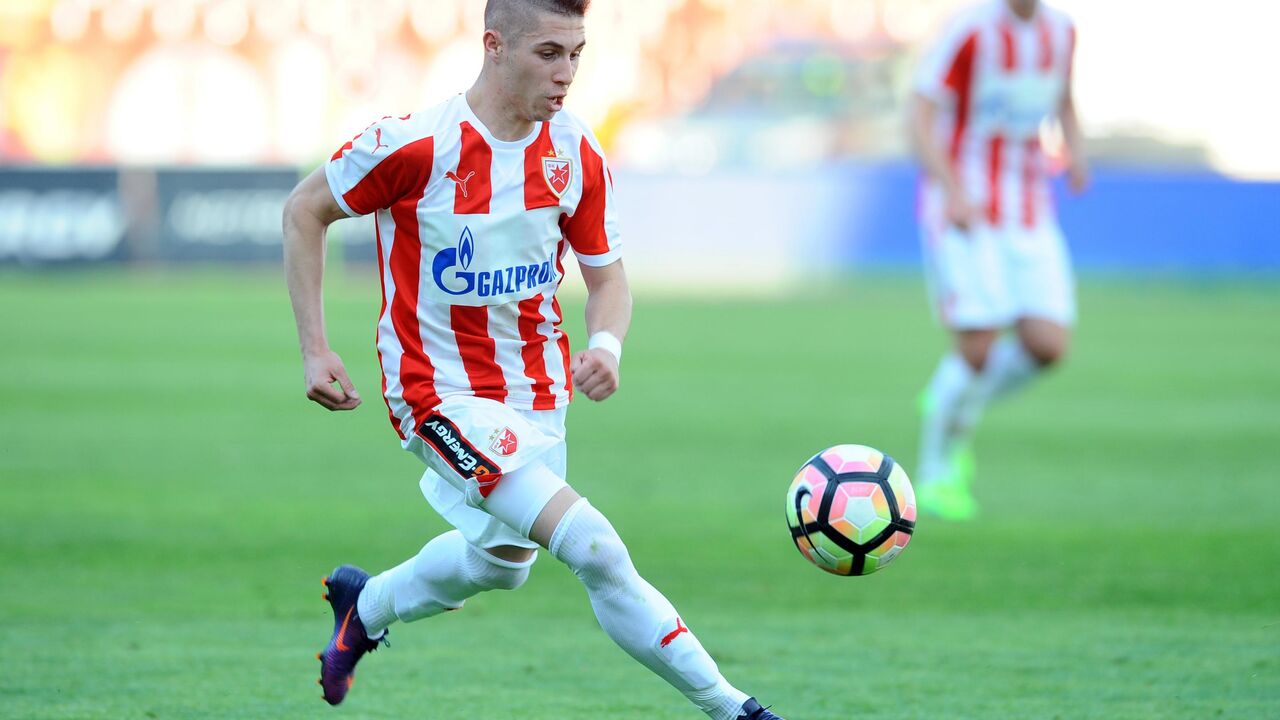 Srđan Plavšić