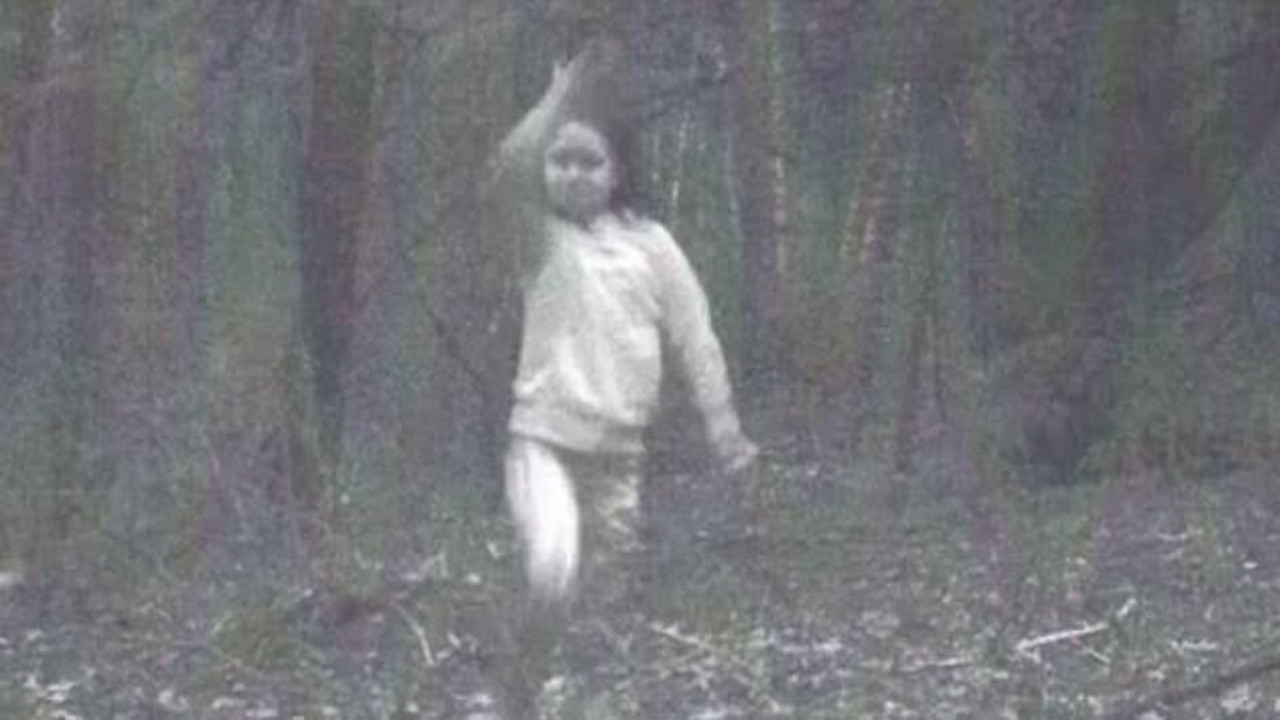 kamera