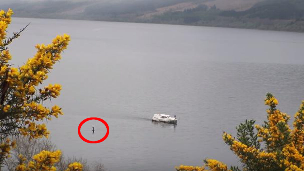 Čudovište iz Loh Nesa