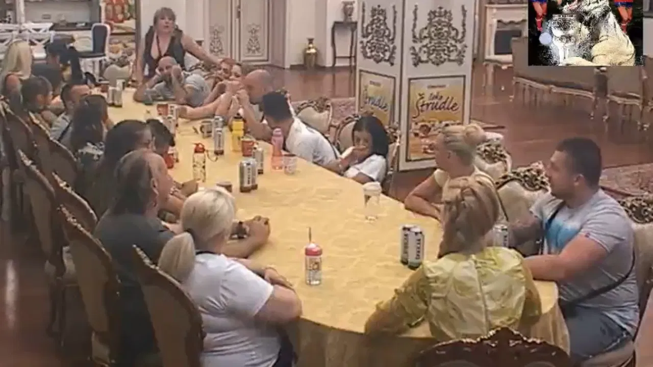Parovi 