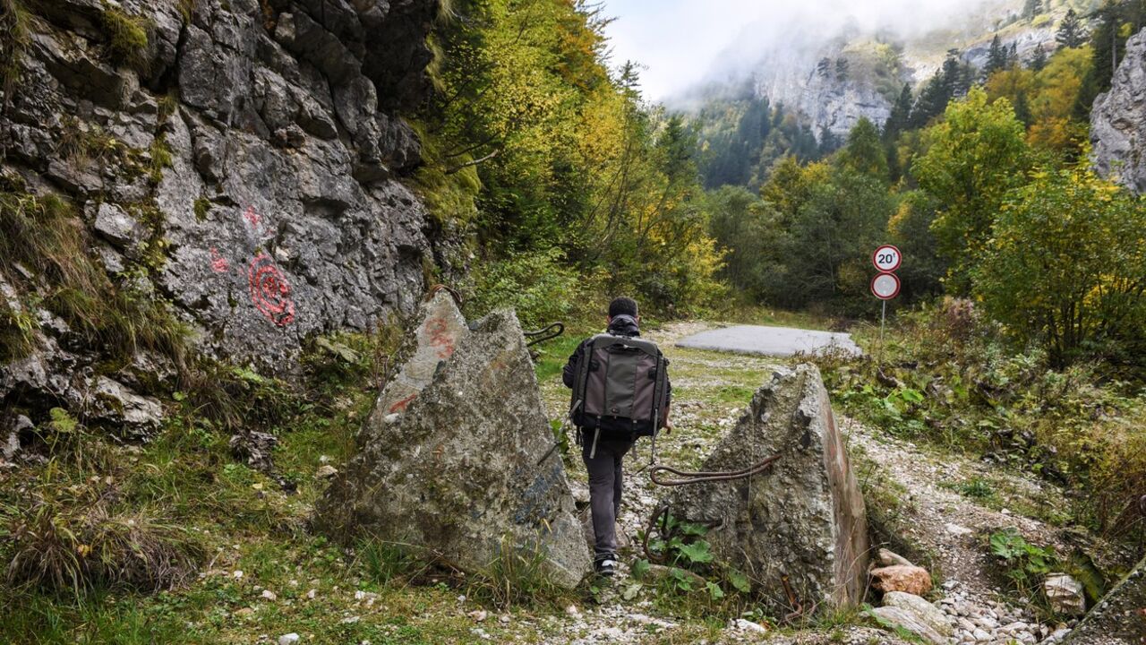 Planina