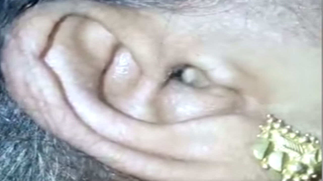 Uvo