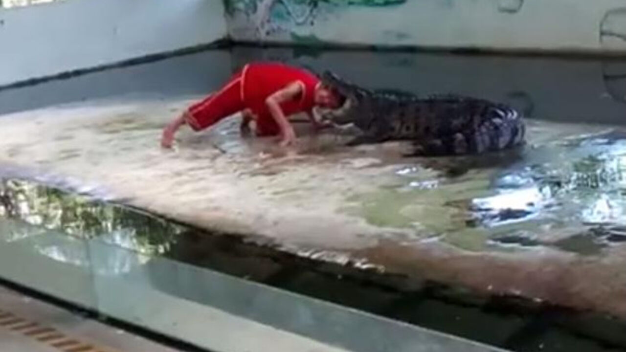 Krokodil