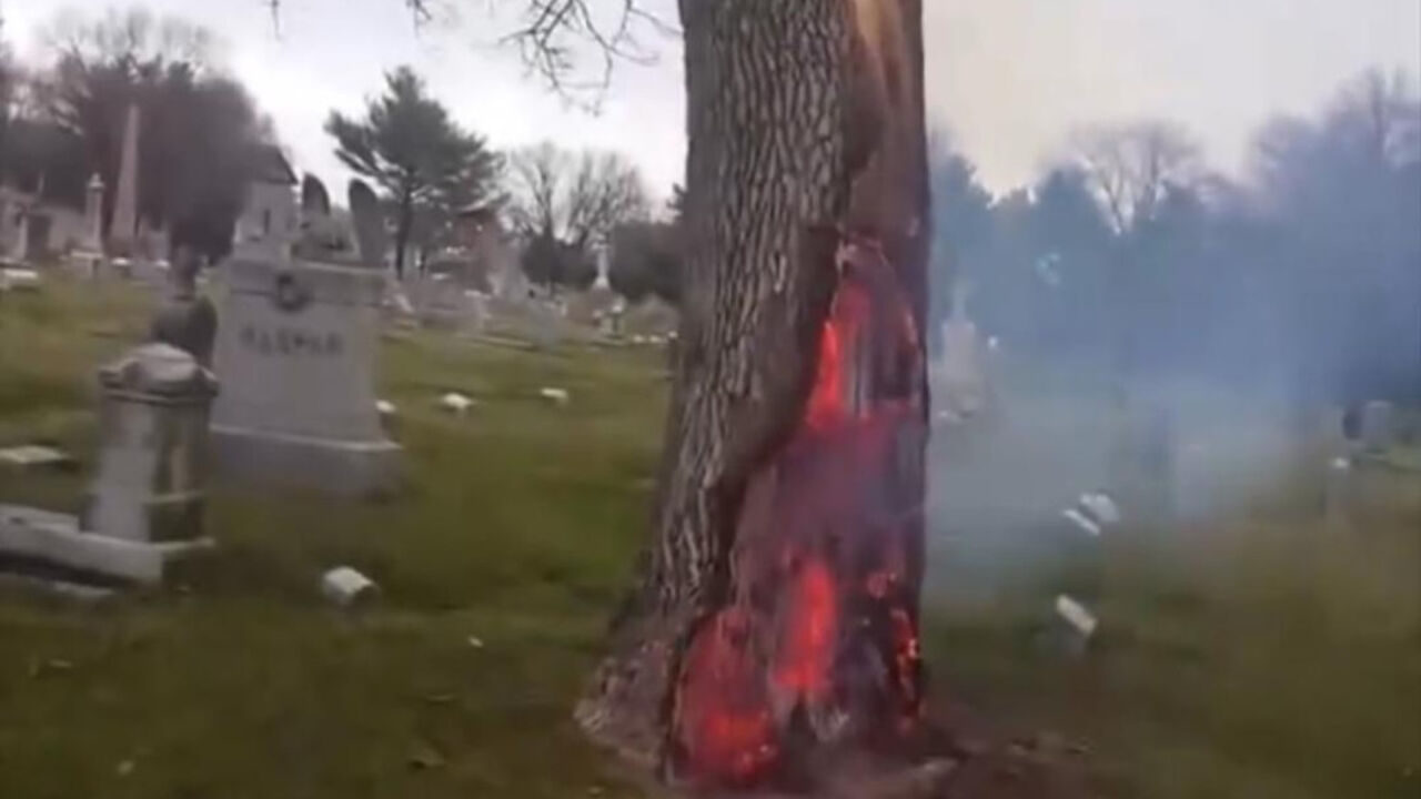 Grom