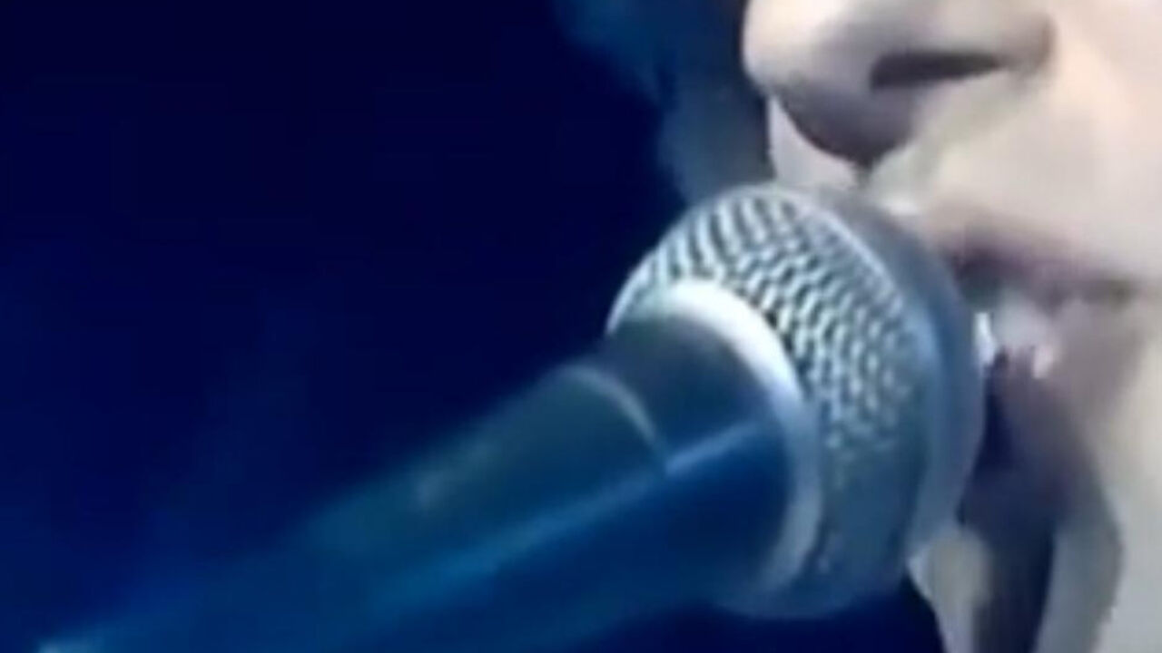 Divlji Anđeli