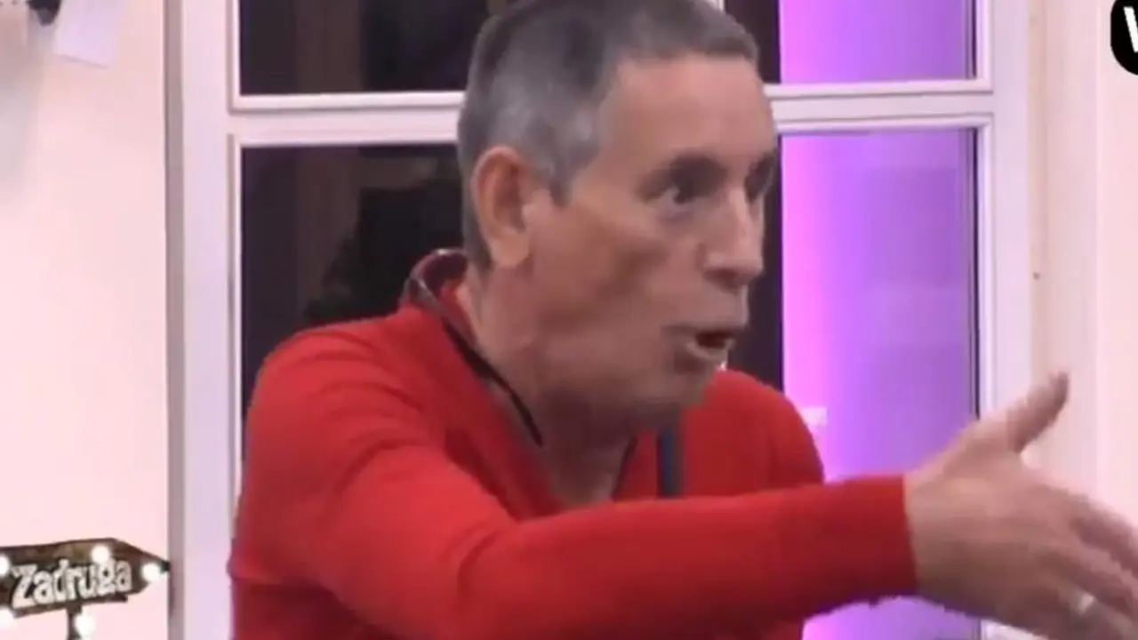 Lepi Mića u rijalitiju Zadruga