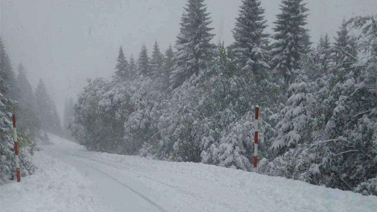 Kopaonik