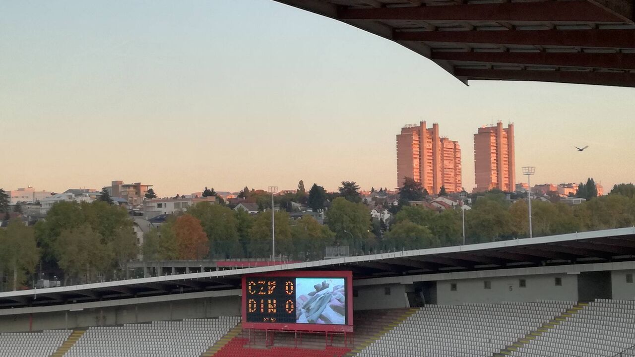 Delije