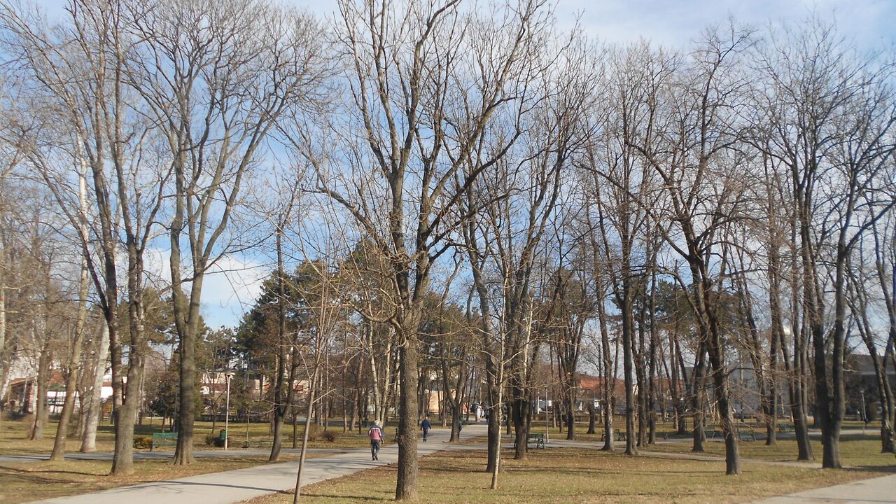Velika Plana