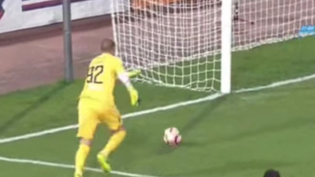 Milan Borjan