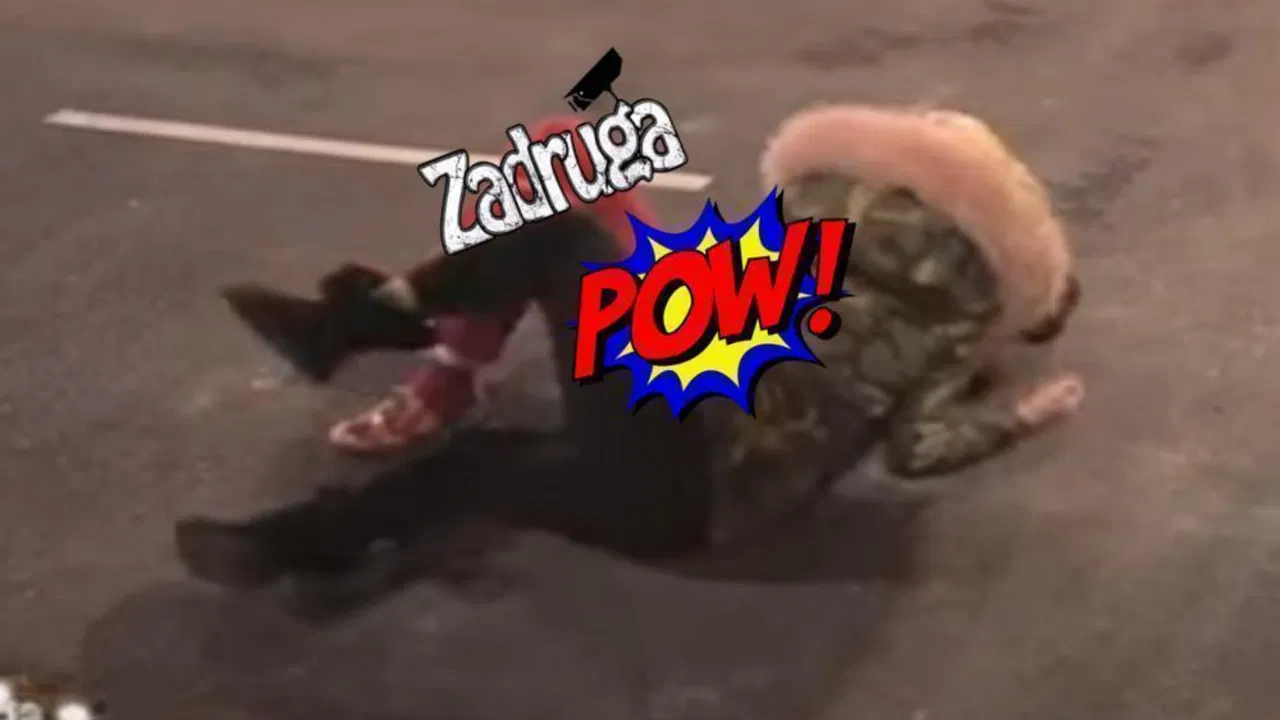 Zadruga