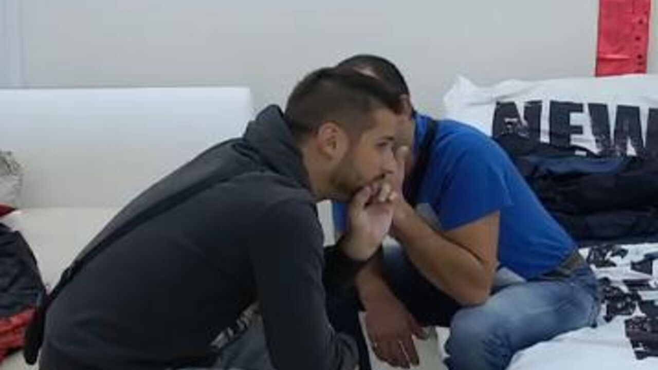 zadruga