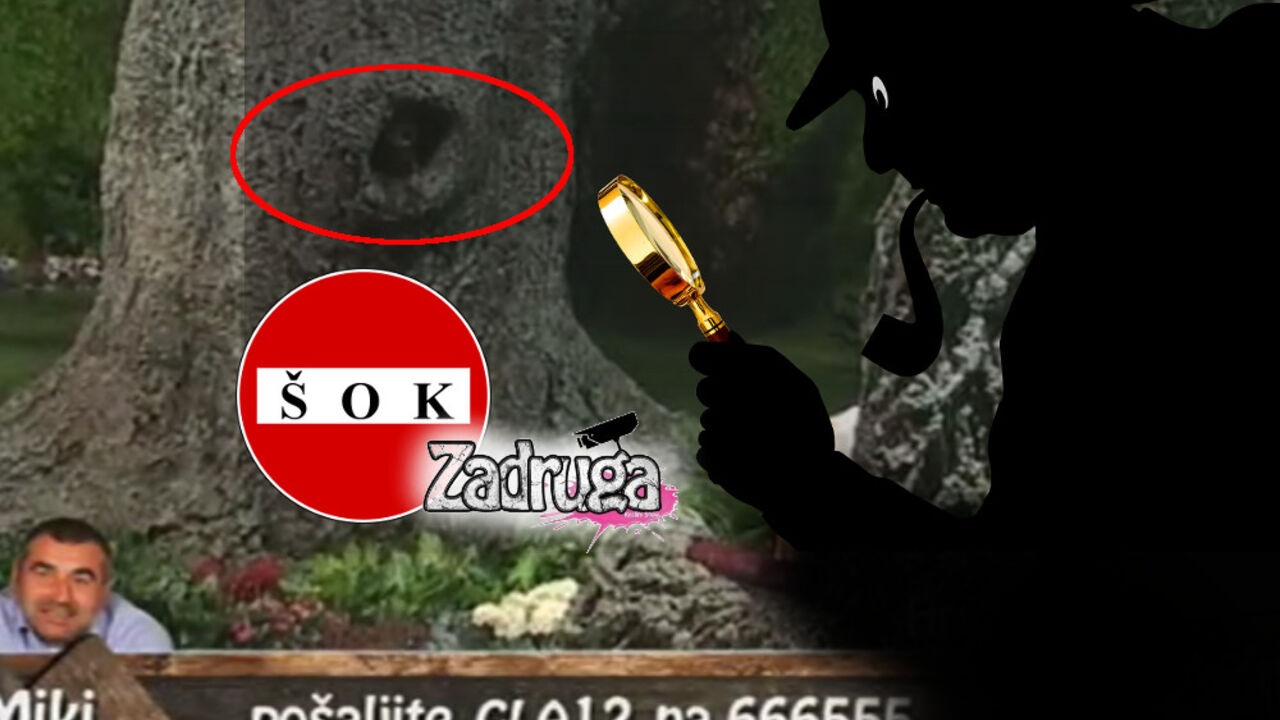 Drvo mudrosti u rijalitiju Zadruga