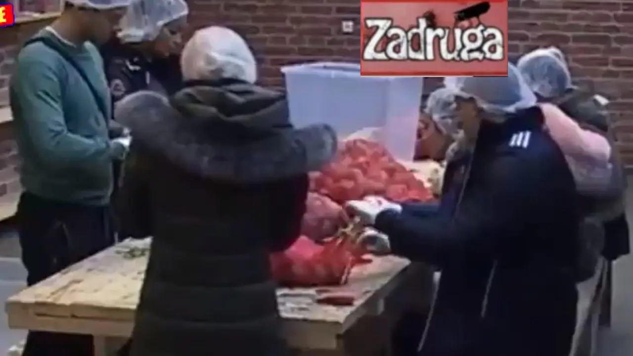 Zadruga